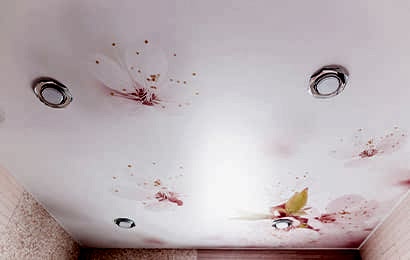 Вагонка из пластика