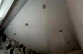 наши работы