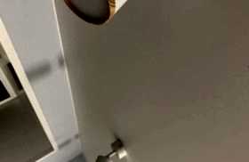 наши работы