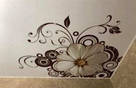 наши работы