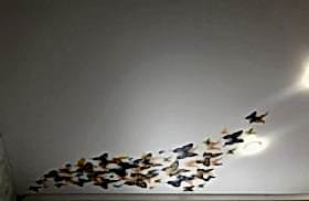 наши работы