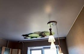 наши работы