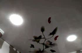 наши работы