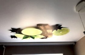 наши работы