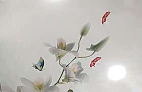 наши работы