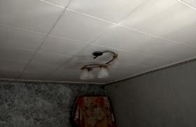 наши работы