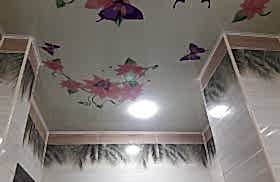 наши работы