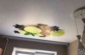 наши работы