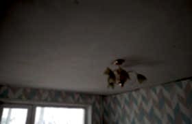 наши работы