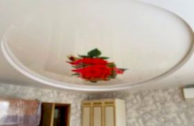 наши работы