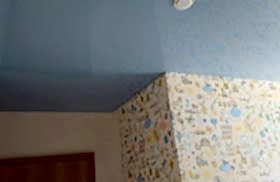 наши работы