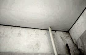 наши работы