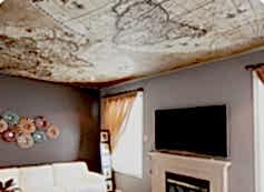 Скидки и акции: со скидкой 50%